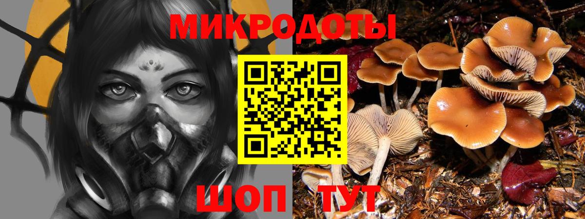 Киржач  Псилоцибиновые грибы прущие грибы  Псилоцибиновые грибы Psilocybine cubensis  Вход с VPN 